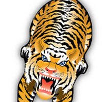 X-Kites SkyZoo Tiger Kite 59"