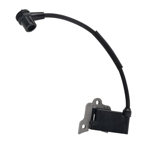 Module de bobine d'allumage 367168559 compatible moteur PE-254.4