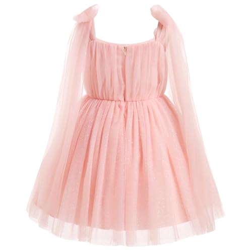 Baby Girl Sleeveless 3D Butterfly Floral Embroidery Ruffle Tulle Dress Toddler Birthday Party Tulle Dress2