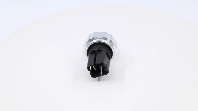Amazon.com: 252408996E,Oil Pressure Sensor,Sender,Switch for