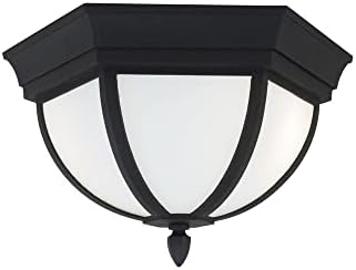 Seagull Sea Gull 79136-12 Transitional Two Light Outdoor Flush Mount from Wynfield Collection in Black Finish