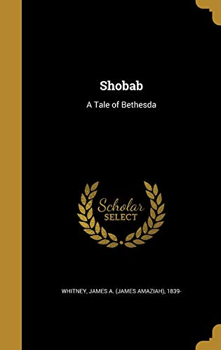 Shobab: A Tale of Bethesda