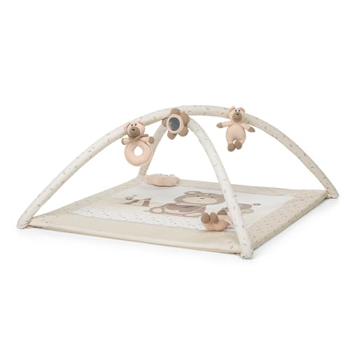 Foppapedretti Trainer Palestrina, Augh