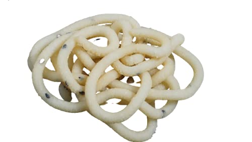 SR Foods Sweets and Savouries Namkeen South Indian Special Coconut Milk Chakli/Murukku(தேங்காய் பால் முறுக்கு),250g | Home Made | No Preservatives (Pack of 3) (B09FY8RQP7) Amazon Price History, Amazon Price Tracker