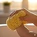Sea Sponge for Bathing 5 inch-Softly Rough but Not Skin Irritating – Yellow, Natural Bath Sponge-Renewable Resource – Natural Sponge for Body and Shower-Lathers & Washes Really Well