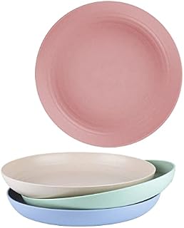 homchen Unbreakable Dinner Plates, 4 Pack 8.8" Plastic Plates Set for Family Party Picnic Home
