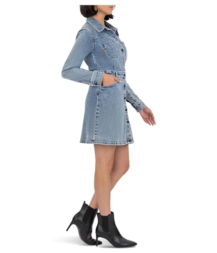 KUT from the Kloth Women's Arlington-Button Front Dress W/A-line Skirt & Waistband2