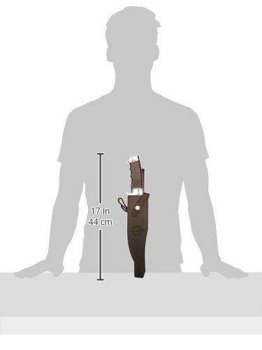 GIL HIBBEN Legionnaire Bowie Knife and Leather Belt Sheath - 7Cr17 Stainless Steel Blade, Pakkawood Handle, Mirror Finished Steel Guard And Pommel, For Your Hibben Knives Collection - Length 14 7/10