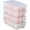 Begale 4-Pack Clear Egg Tray Container with Lid, Plastic Covered Egg Holder for Refrigerator, Fits 18 x 4 Eggs (72 Eggs)