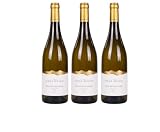Elena Walch Gewürztraminer Alto Adige DOC 2025 – 2250 ml, 14% Vol.