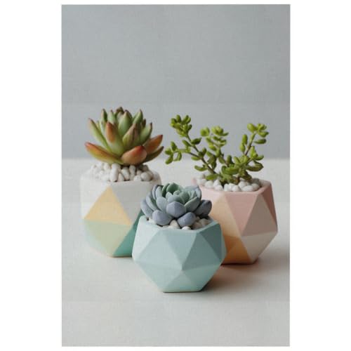 Posters para pared modernos de 50x70cm en tonos azul y rosa para dormitorio