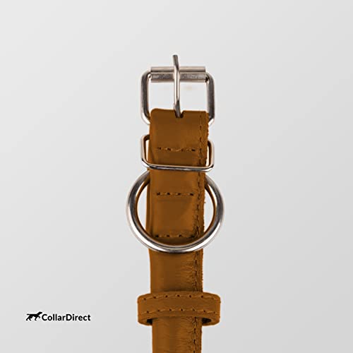 CollarDirect Rundes Leder Hundehalsband, weich gepolstert gerollt, handgefertigtes Echtleder Halsband für Hund Welpe Katze Klein Groß Schwarz Rosa Rot Lila Blau