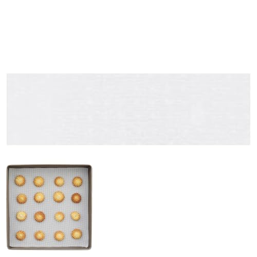 VRX`[}[bV | XNGA mXeBbN X`[}[ oXPbg Ci[ - }bg ߂̃X`[}[NXAHiO[h̃VRR[eBOV[gAϔMEV[g Vodora