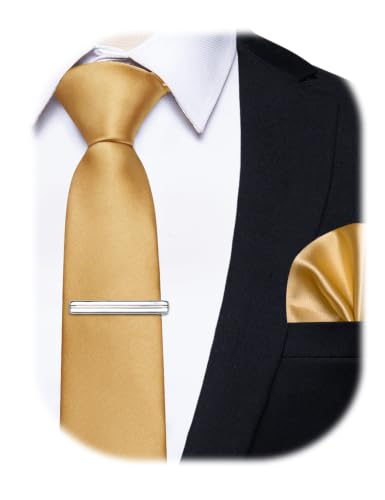 Image of YourTies Skinny Ties for Men Solid 2.4 inch Slim Necktie Handkerchief Clip Set | Satin Mens Tie Pocket Square Tie Clip Gift Box,Solid Color,Formal Casual Wedding Business Party,Suit Shirt Tuxedo