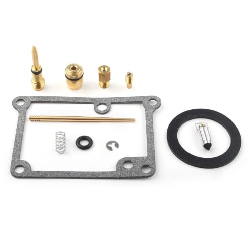 Kit réparation carburateur Blaster YFS200 pour restaurer un quad ancien