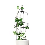 rosier grimpant remontant rose pale Application : vous pouvez utiliser le treillis pour plantes grimpantes comme support de rosier, support de rosier, support de fil de rose, support de plante de pois, support de pivoine, support de plante de tomate, anneaux de support de canne, et bien d'autres.