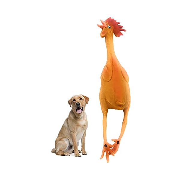 Medium Rubber Chicken Dog Toy: Safe and Squeaky Fun for Playtime