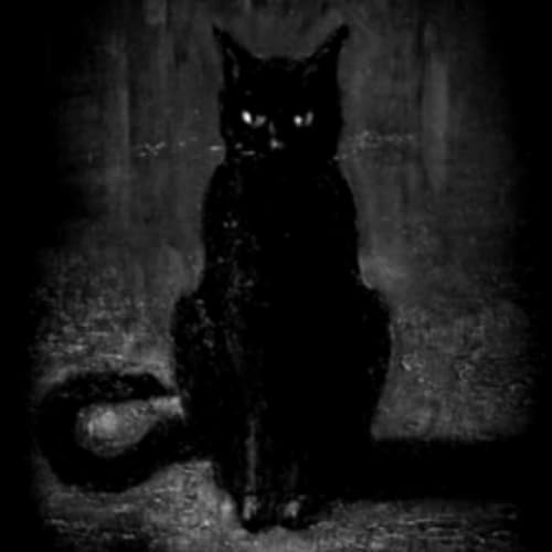 『El Gato De La Bruja | Relato De Terror Ocurrido En México』のカバーアート