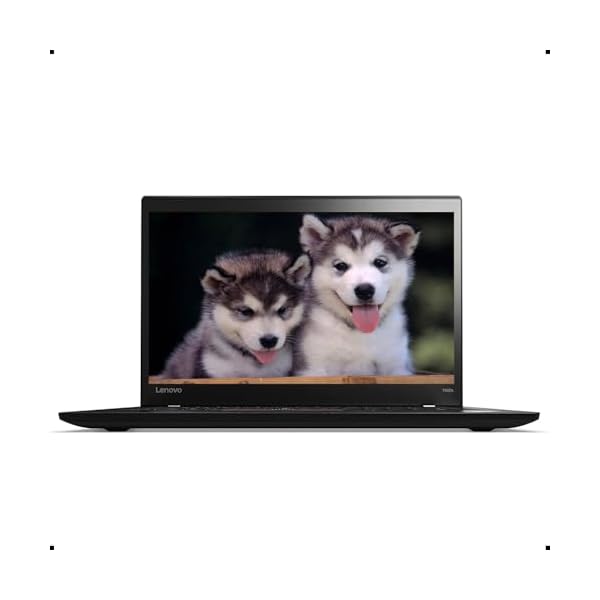 Lenovo ThinkPad T460s Business Laptop, 14-inch FHD(1920 x 1080) Ultrabook, Intel i5-6300U 2.4GHz up to 3.0GHz, 8GB DDR4 RAM, 256GB SSD, 720p Camera, Wi-Fi, Bluetooth, Windows 10 Pro 64-Bit (Renewed)