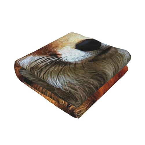 Couverture de lit légère microfibre confort thermique FOX2 - 3