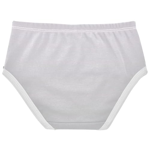 Joisal Cotton Toddler Girls Underwear Magnolia Silver Gradient Ombre Cute Panties Girl Florals Kids Briefs Undies 2t2