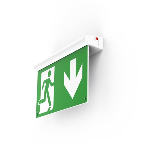 VGTECH Dauerlicht LED Notleuchte Notbeleuchtung Exit Notausgang Fluchtwegleuchte Notlicht Fluchtweg EXIT IP42 drehbar