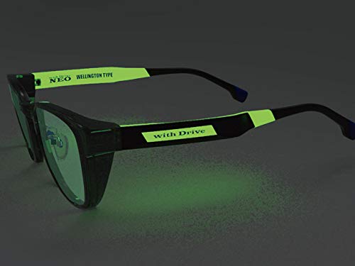 Amazon | 愛眼 WDN-4001 | STORM RIDER(ストームライダー) | スポーツ