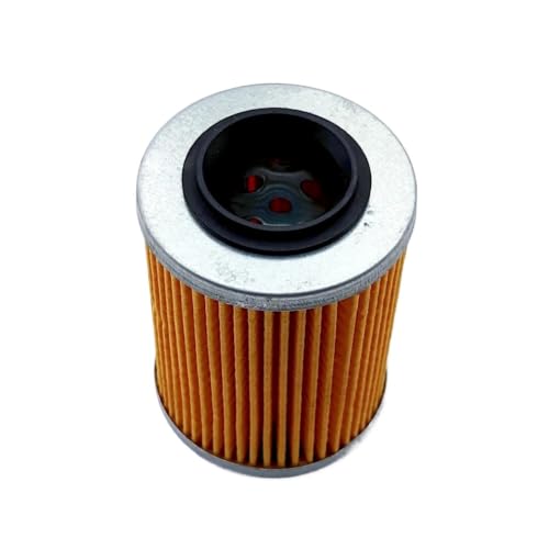 Ajuste de aceite para repuesto de motor 0800-011300-0004 en motos ATV 2