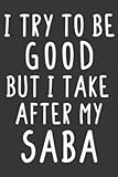  I Try To Be Good But I Take After My Saba Jewish Grandpa: Daily Planner Notepad To Do Schedule,, Medium 6x9 Inches, 120 Pages, Printed Cover
