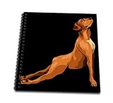 Drawing Book 8 x 8 inch - Yoga Buddha Person with Rhodesian Ridgeback Dog Dog