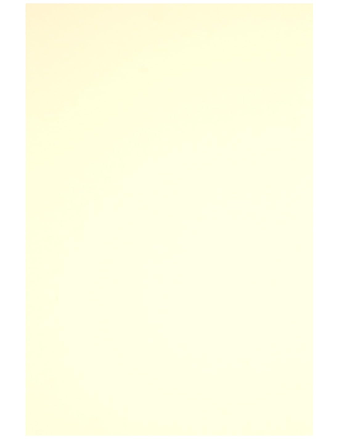 Netuno 500 Sheets Cream Colored Paper A4 210 x 297 mm 8.27 x 11.69 in 80 GSM Rainbow for Printing Crafts Office Presentations Photocopies — image 1