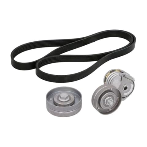INA 529 0108 10 V-Ribbed Belt Set Cover