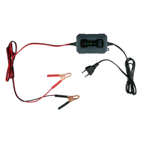 Dunlop Chargeur Goutte 6/12V 1A - Voiture avec Cycle de Charge en 6 étapes - pour Scooter et Moteur - Court-Circuit - d'entretien Plomb et Gel - Noir