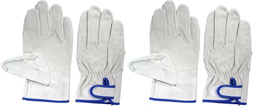 [�x�m�O���[�u] Fuji Glove EX �؏����C���W���[ LL �z���C�g EX-500 (× 2)