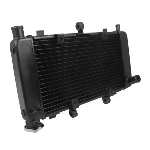 Grille de radiateur de Moto Système Refroidissement Radiateur Moteur Moto Réservoir d'eau Convient pour Ya&maha FZ600 FZ6 FAZER FZ6N FZ6S 1998 – 2010