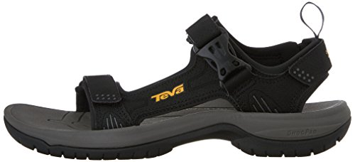 teva holliway