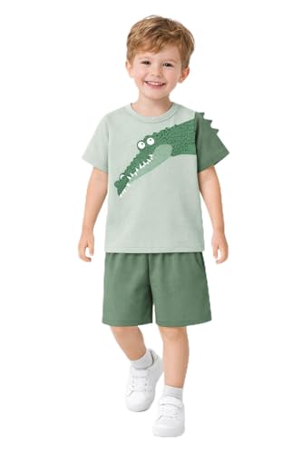 Image of HILEELANG Toddler Boy Summer Outfit Set 2 Piece Short Sleeve T Shirt and Short Soft Breathable Cotton Clothing Sets 2-7T