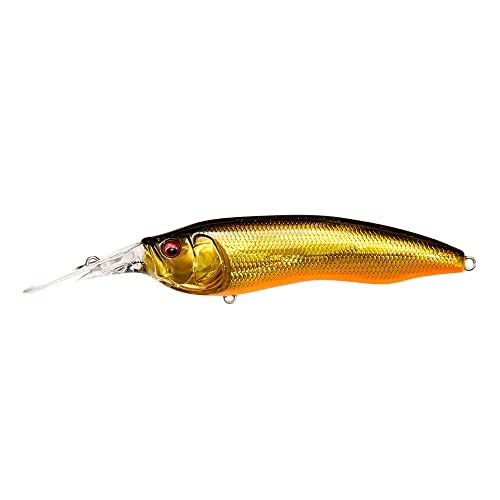 Amazon.co.jp: Megabass(メガバス): ダイビングミノー