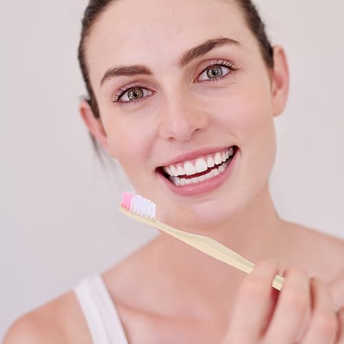 Brosses à dents jetables pour voyage et hôtel SOLUSTRE en lot