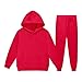 Boys Girls 2 Piece Outfits Solid Color Tracksuit Fashion Pullover Hoodie Sweatshirt and Sweatpants Fall Winter Joggers Set