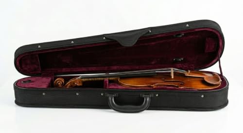 Image of BLUE PANTHER Hard Violin Case for 4 /4 Full Size Violin | Lightweight Protective Carry Case with Bow Holders, Rosin Pocket, Soft Cushion Interior & Strong Zip Closure