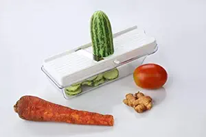 Satsun Home and Kitchenware Dry Fruit Slicer Vegetable & Fruit Grater & Slicer,Cutter, Best for Ginger, Chilli, All Herbs, Stainless Steel