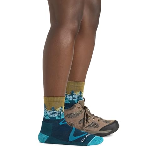Image of Darn Tough Women's Northwoods Micro Crew Lightweight Hiking Sock (Style 5013) -