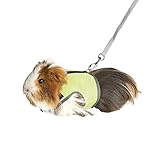 MANON ROSA Rabbit Harness and Leash Set - Adjustable Escape-Proof Training and Walking Gear for Guinea Pigs Bunnies Chinchillas Hamsters Ferrets Rats Kittens and Small Dogs Puppies Cats (Green,S)