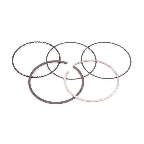 Segment de piston STD BMW Mini Cooper 1.5L L3 B38 2015-2019 - 3