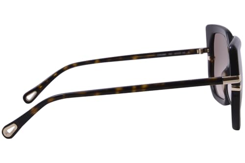 Brown Chloe CH0240S Sunglasses3