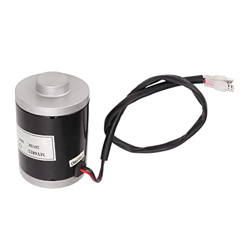 Motore a Spazzole da 24 V 100 W 2 modalità di