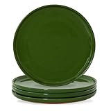 Ruxmirae 10.25-Inch Dinner Plates Set of 4, Dual Glaze Stoneware Plates, Microwave and Dishwasher Safe, Ceramic Plates for Everyday Dining, Forest Glaze Green