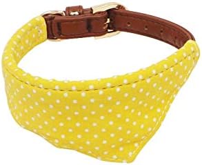 leather dog collar with bow