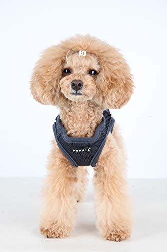 Puppia Hundegeschirr für kleine und mittelgroße Hunde - weiche Weste in vielen Farben - Auch als Welpengeschirr verwendbar -Antizuggeschirr für Hunde, Grau, M